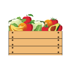 Organic Mixed Fruit and Veg Boxes