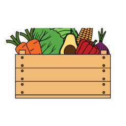Organic Vegetable Boxes