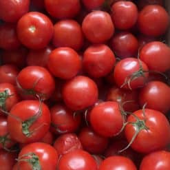 Seconds Tomatoes 10kgs box