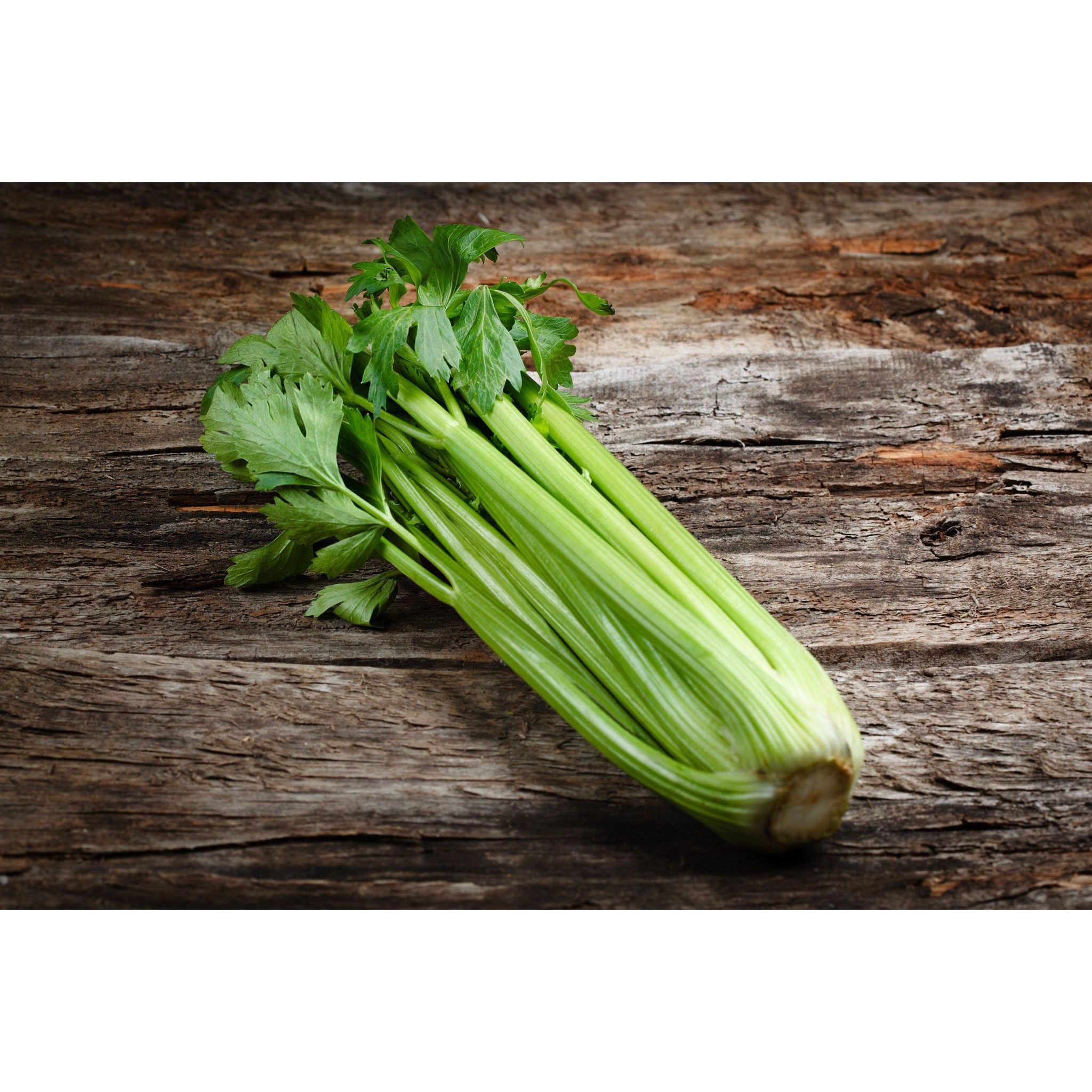Celery1 Bunch Earthymamma