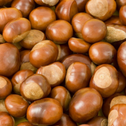 Chestnuts