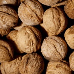 Organic Walnuts In Shell- 10kgs