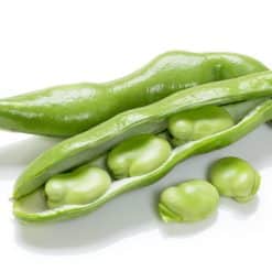 Broad Beans