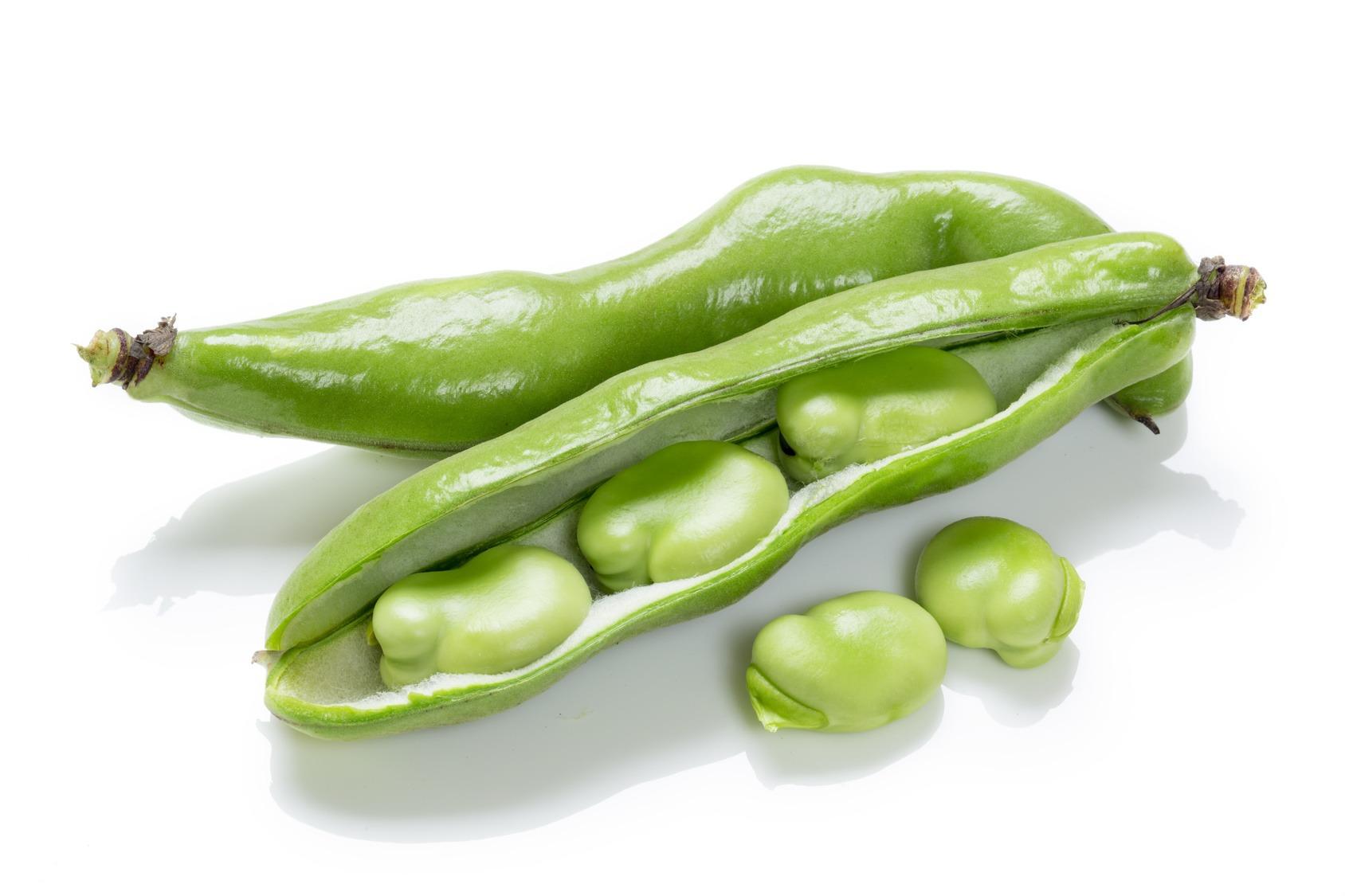 Broad Beans