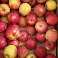 Pink Lady Apple-12kg Box
