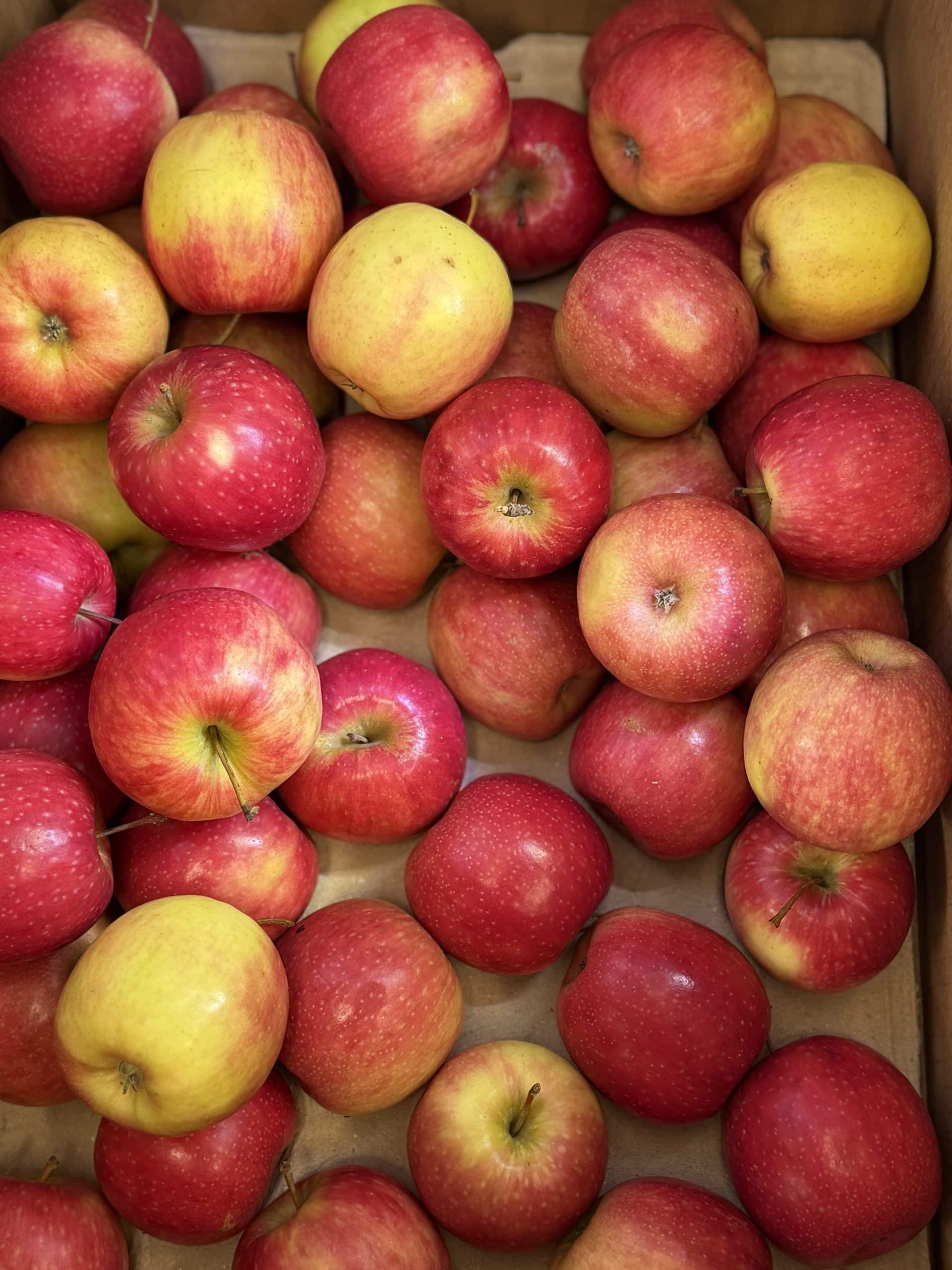 Pink Lady Apple-12kg Box
