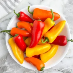 Baby Capsicums