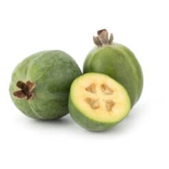 Feijoa