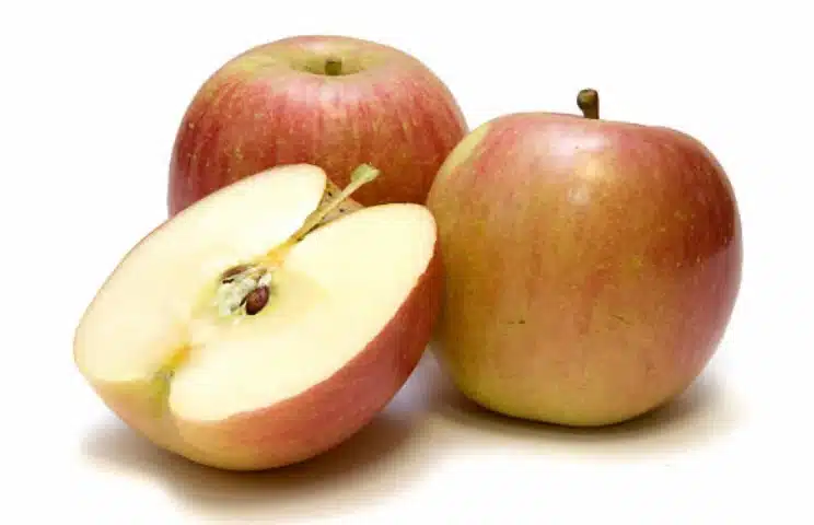 Fuji Apples
