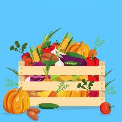 Organic Vegetable Boxes